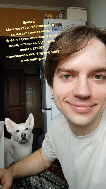 Собаку зовут Арья)