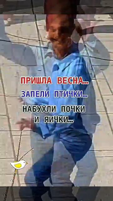 позитив