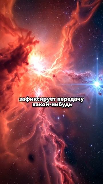 Информация в космосе не исчезает-Подкаст Глеба Соломина