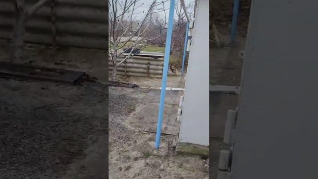 VID-20231204-WA0003.mp4