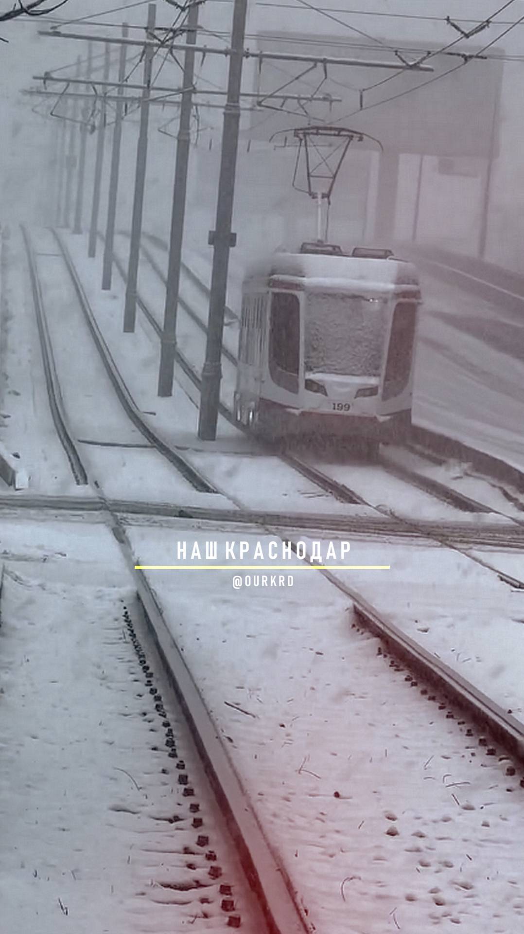 Последний снег в Краснодаре. Больше его до зимы не предвидится.