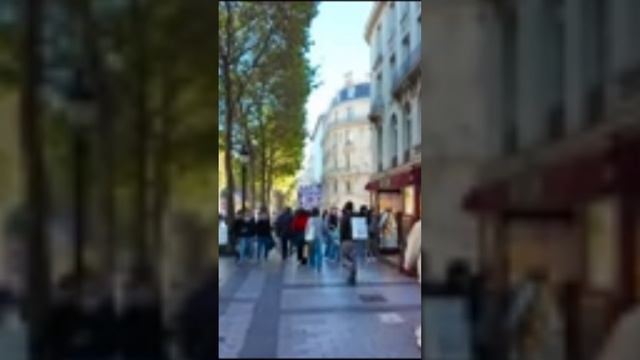 Объектив и живописные пейзажи