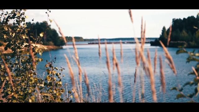 Ферма ГК "Русский Икорный Дом" расположена в экологически чистом районе Вологодской области