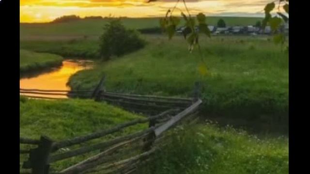 Беды в нашей жизни