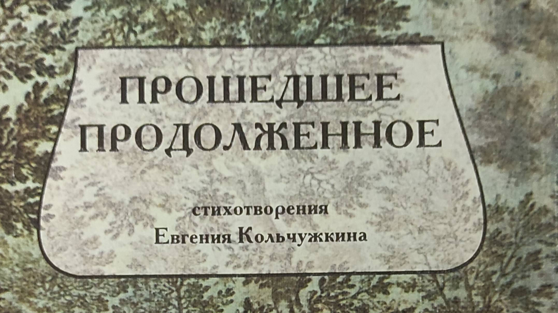 КНИГА 166 Евгений Кольчужкин Прошедшее продолженное (Томск: Издательство «Водолей», 2002)
