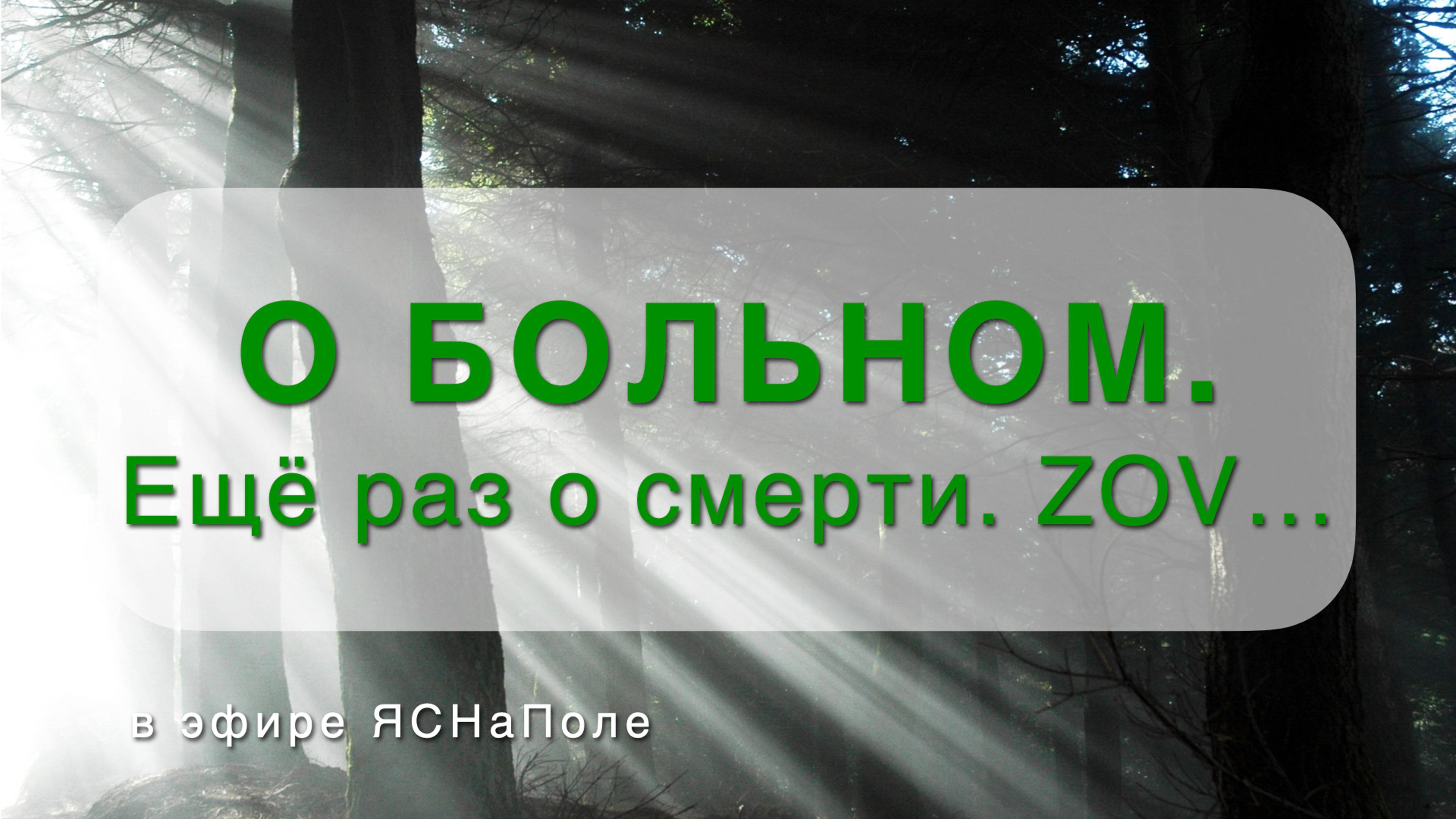 О больном. Еще раз о смерти. ZOV..._24.04.2024