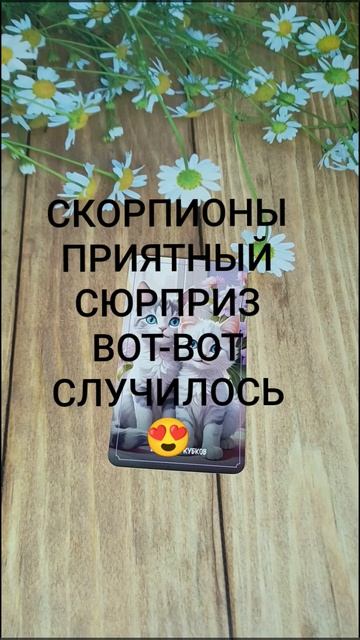 #СКОРПИОНЫ ПРИЯТНЫЙ СЮРПРИЗ ВОТ-ВОТ НА ПОРОГЕ❤️😍🥰#ГаданиеНаБудущее #ТароГадание