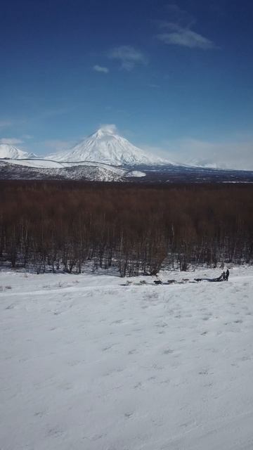 История одной упряжки