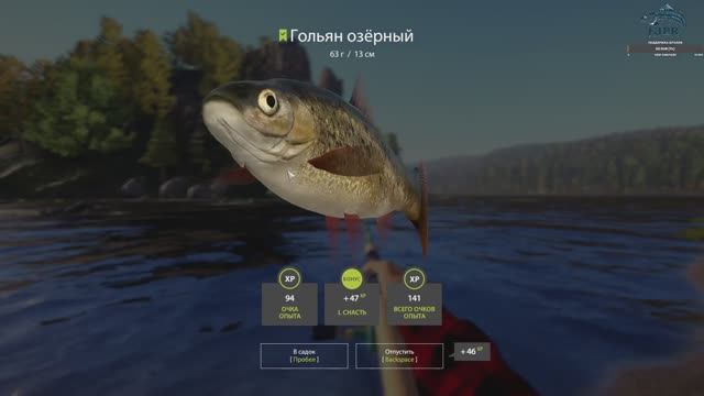 русская рыбалка