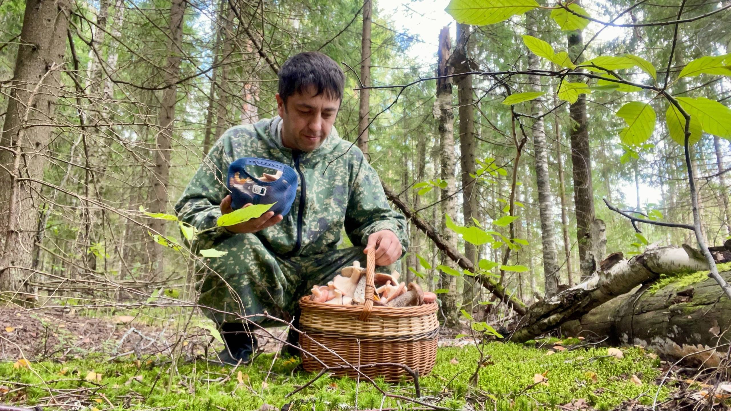 ГРИБЫ ПОВСЮДУ РАЗНЫХ ВИДОВ! Грибы для маринования