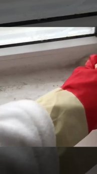 Как избавиться от сырости 🤔