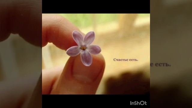 04-03-2025 март. счастье. все в порядке