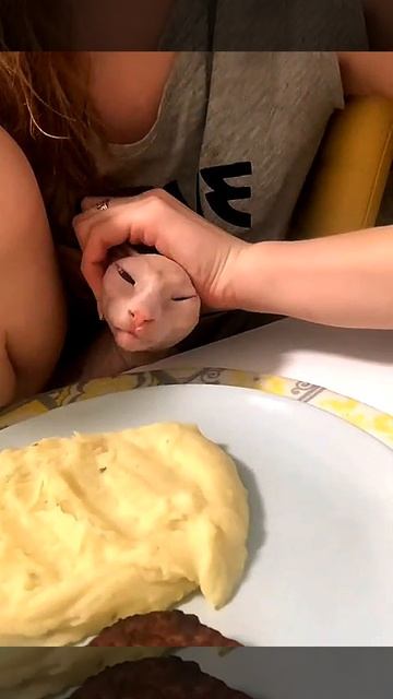 сначала твоë юмор позитив