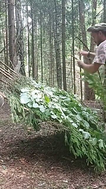 Временное укрытие