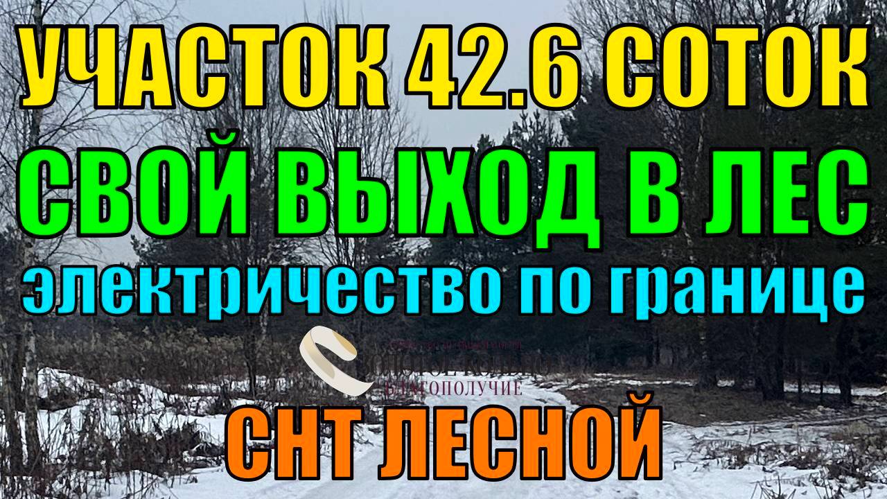 Продаётся земельный участок 42.6 сотки состоящий из пяти участков в СНТ Лесной рядом с г. Карабаново