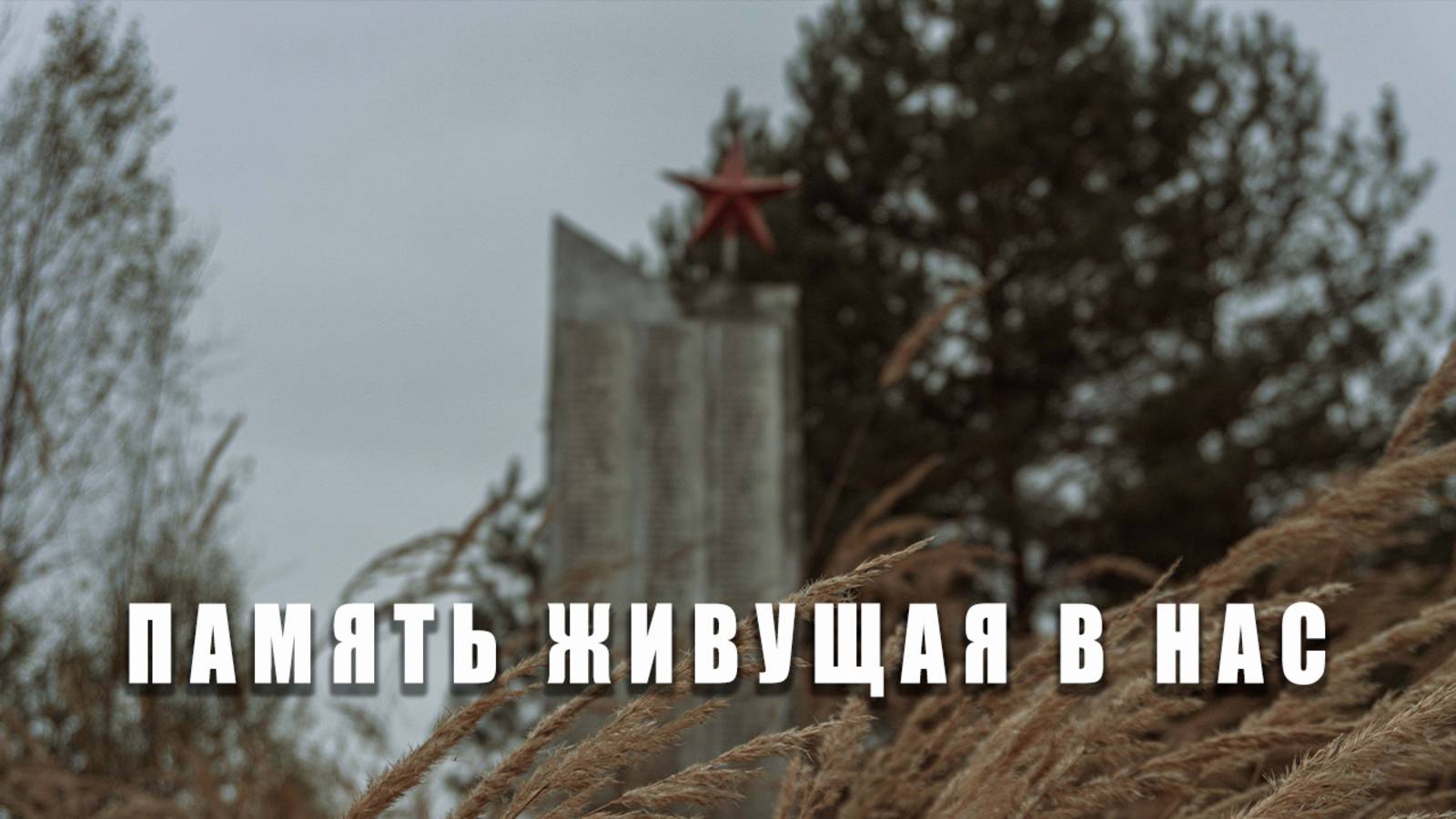 Память живущая в нас  | ЕЕ88
