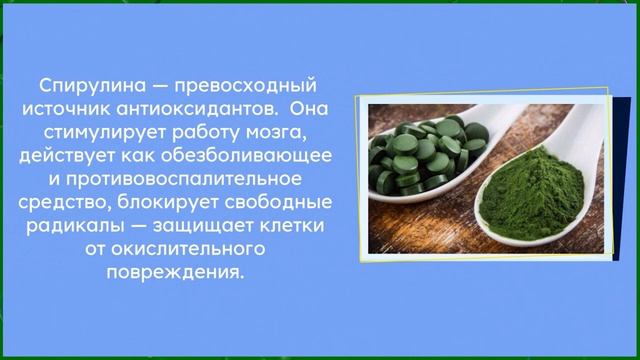 Топ-9 полезных свойств спирулины