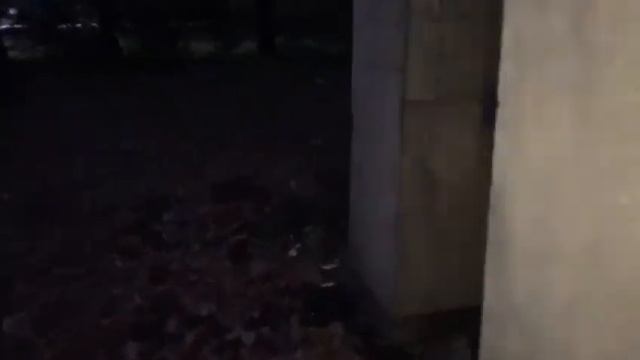 Наши одноклассники снимали кино 🤣😂