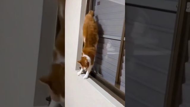 ХихиЧпок Юмор