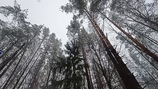 Снег в марте. Поселок "Песочный"