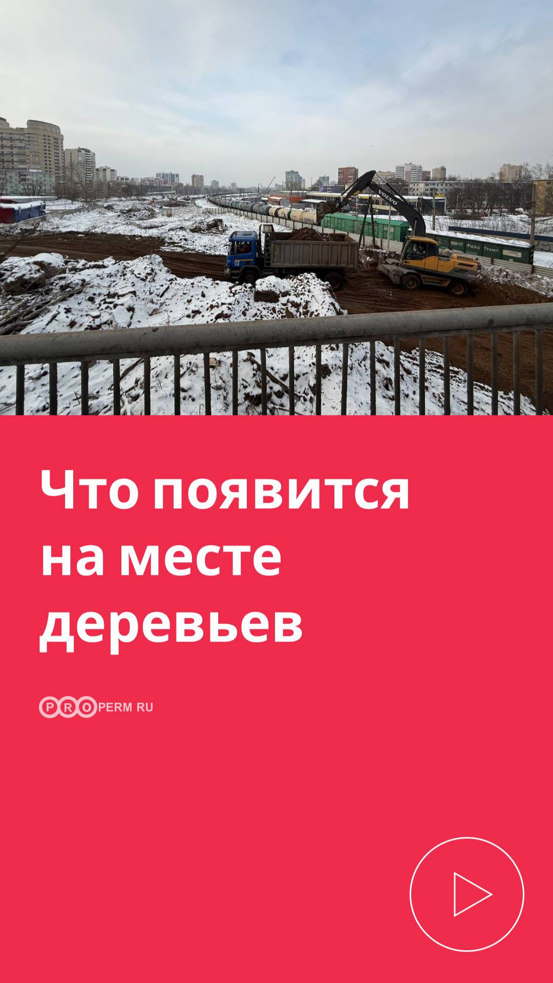 ЧТО БУДЕТ НА МЕСТЕВЫРУБЛЕННЫХ ДЕРЕВЬЕВ?