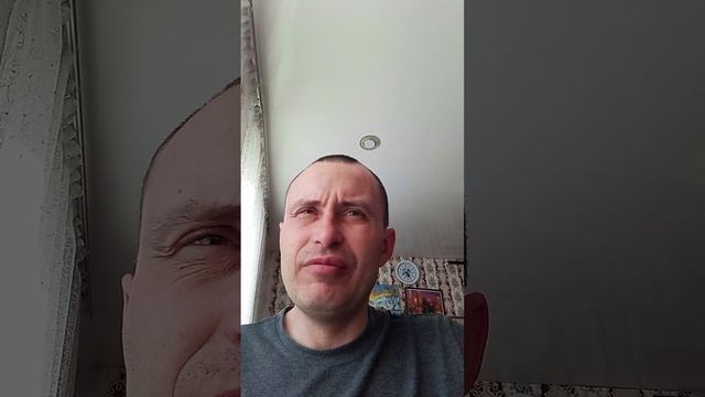 стихи