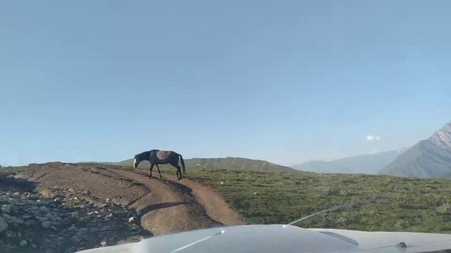 жайлоо Токбай-Ата