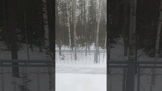 8276473938оаор