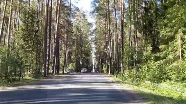 По дороге (северо-запад России)