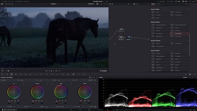 Buying a LOW LIGHT Camera... Watch This First!!