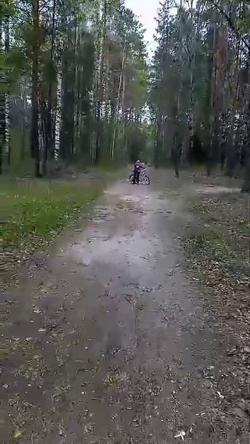 дача