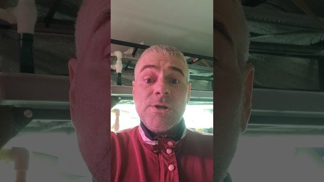 Песня "Не надо, не плачь"