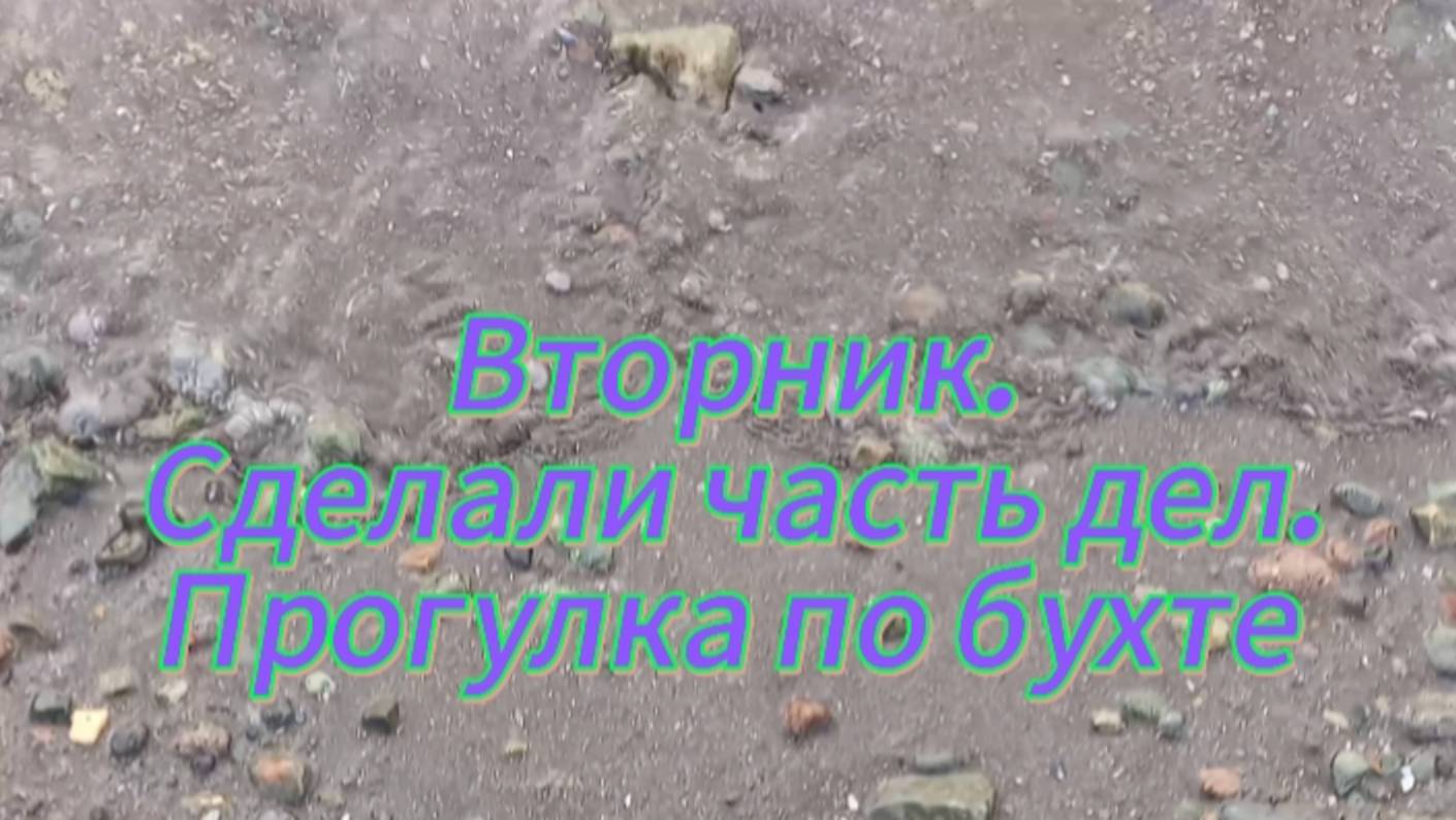 Вторник. Сделали часть дел. Гуляем по бухте