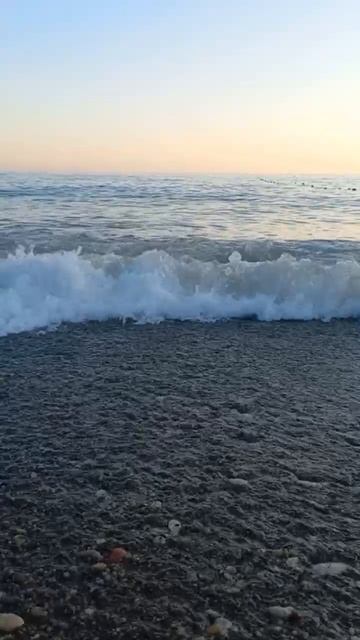 Черное море)