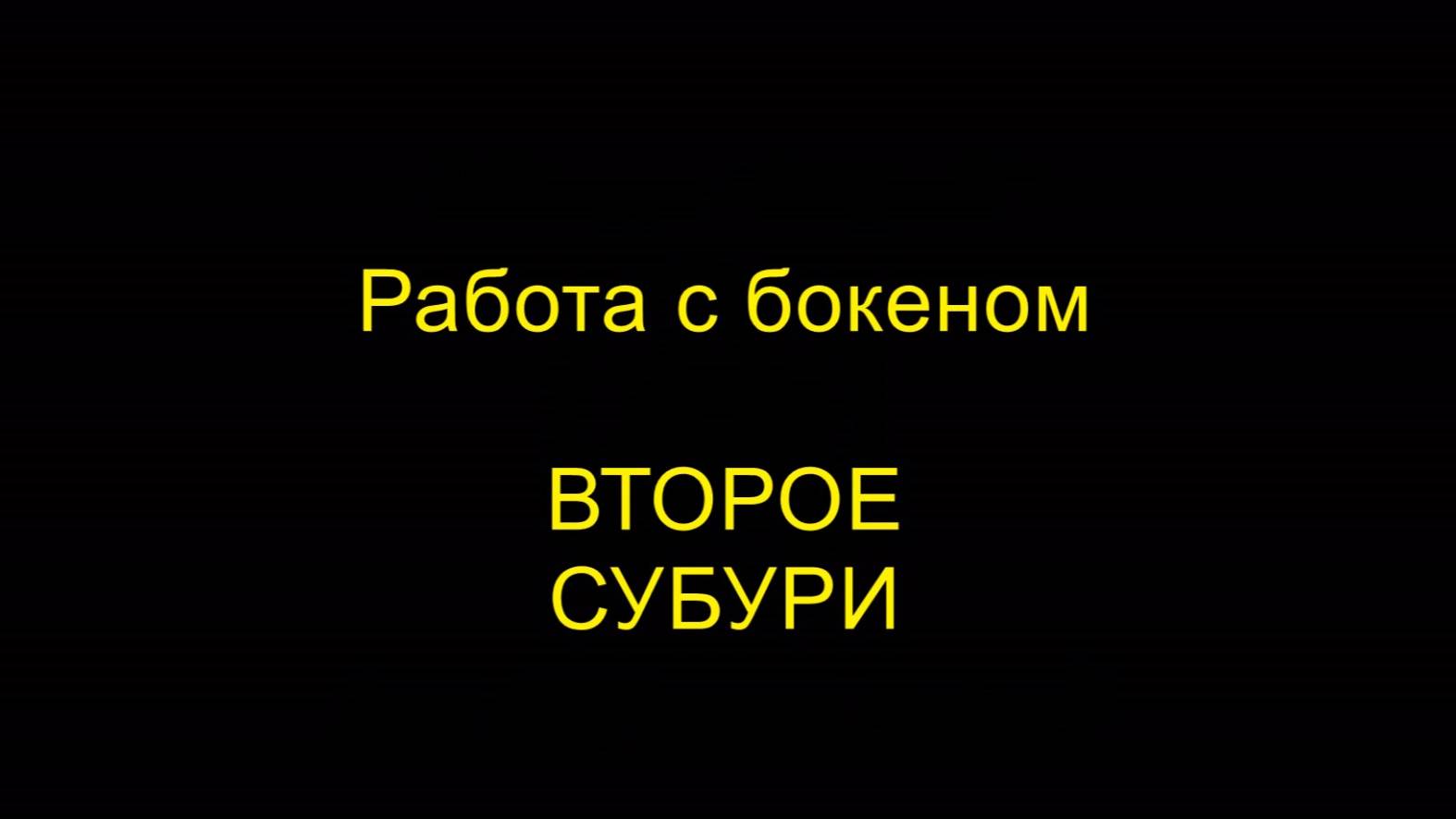 ВТОРОЕ СУБУРИ. Работа с бокеном. Айкидо "Борей"