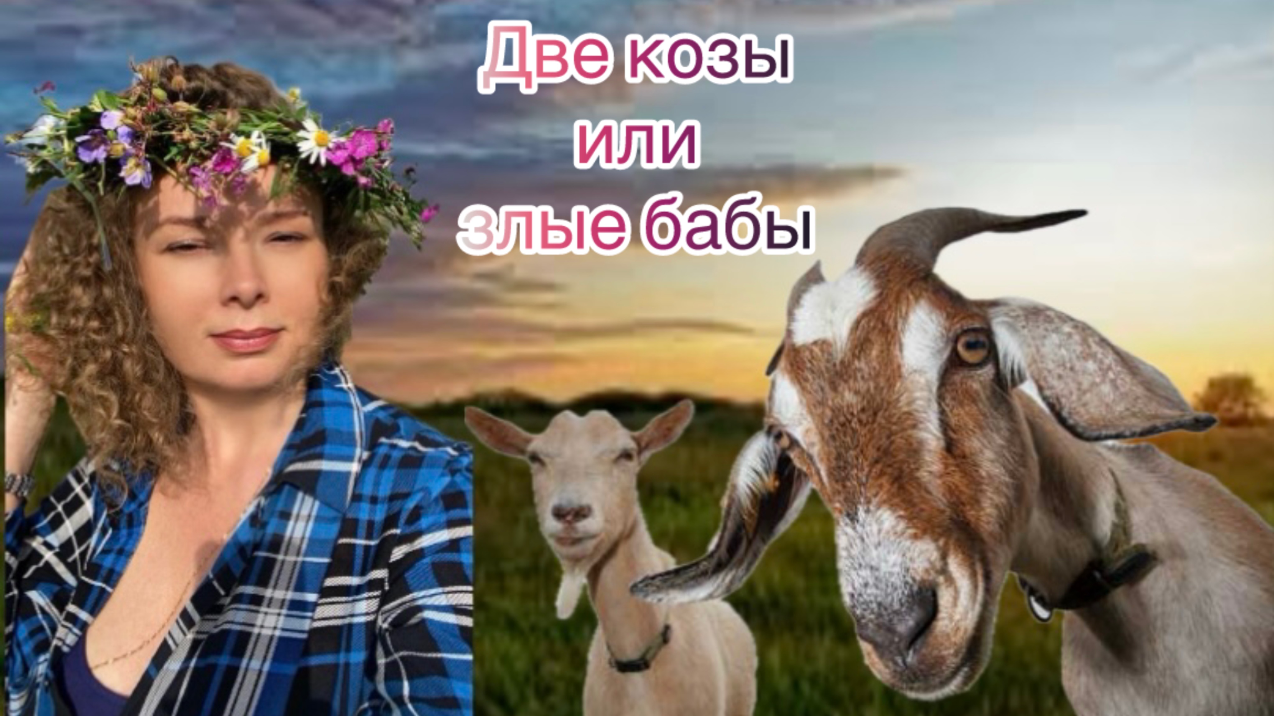 Две козы или злые бабы.