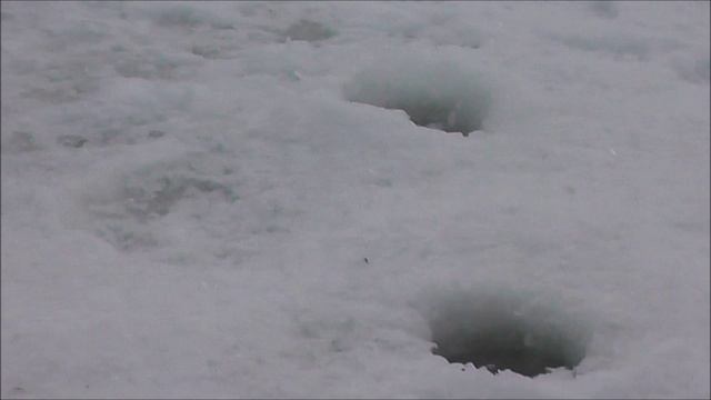 РЫБОЛОВ ИВАНОВИЧ. Р.САНОХТА. ВТОРОЙ ВЫЕЗД НА ГОРЕ - МОРЕ.