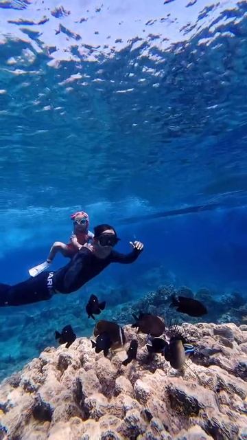 Ихтиандр Дайвинг