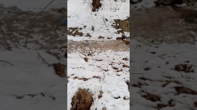 путешествие к ручью старше ч.1