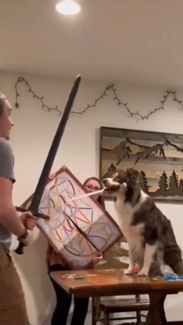 Memes From Internet Part 420