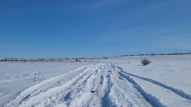 2.03.2025. -20° мороз под утро. Прогулка на поле.