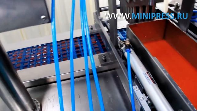Автоматическая блистерная машина для упаковки мотыля RW-14 Minipress.ru