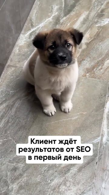Знакомо? #юмор #работа