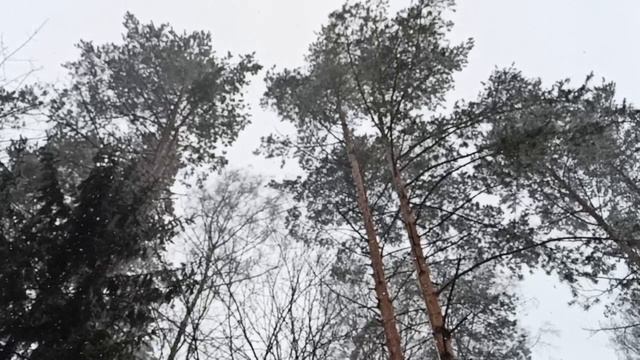 Снег в марте. Поселок "Песочный"