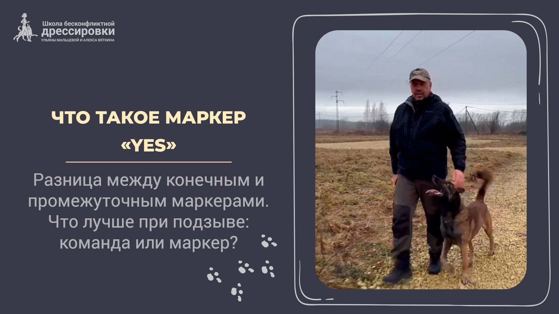 Маркер YES: секрет точного подкрепления