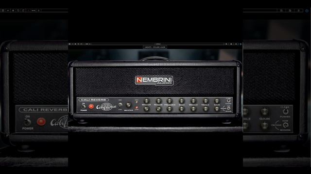 Going down solo on Nembrini rect plugin #nembrini #rectifier #vstplugin #goingdown #solo #blues