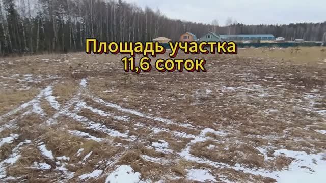 Обзор_Борилово_Участок