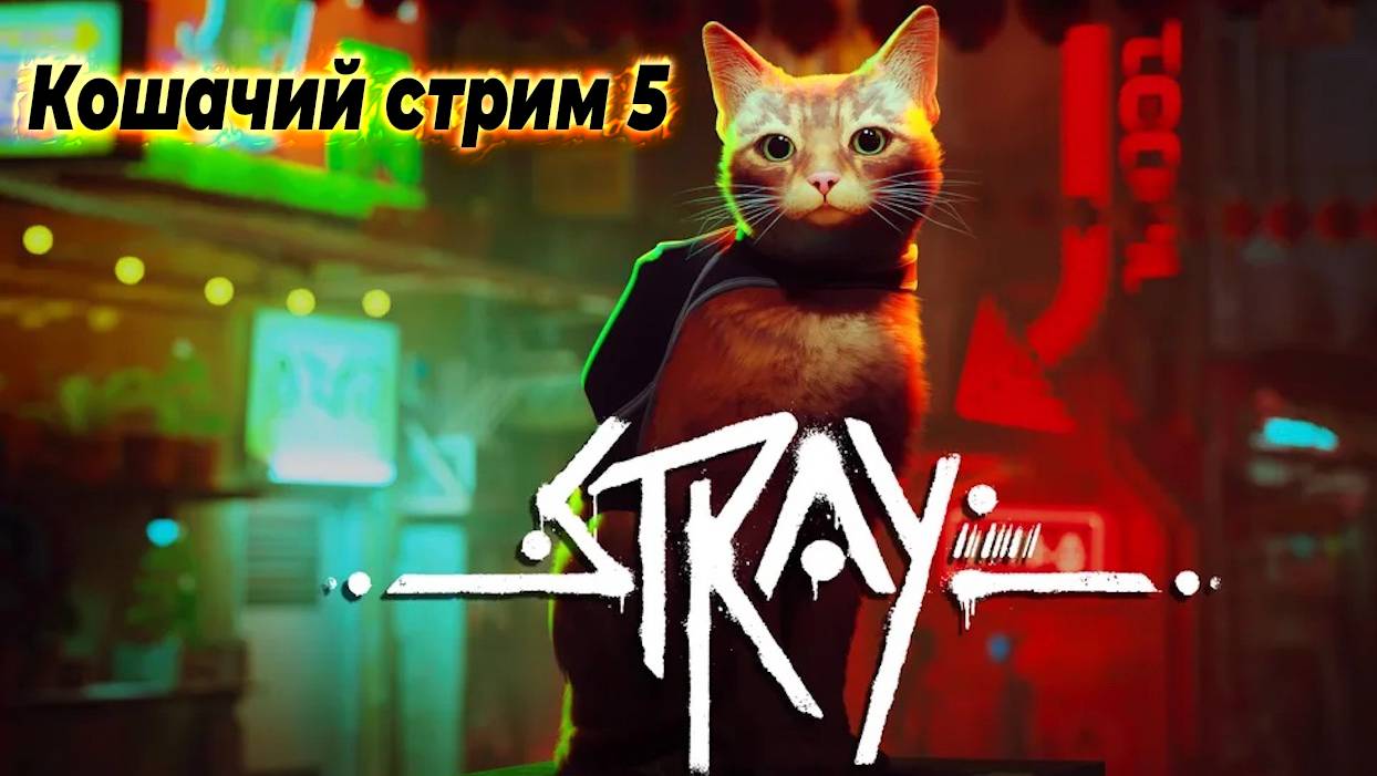 Кошачий стрим 5. Stray!