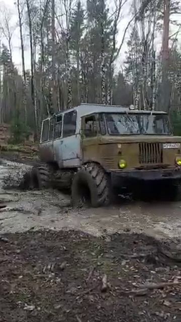 Газ 66 на колесах т150.