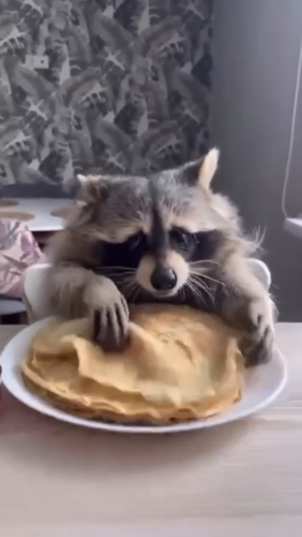 С Масленицей! 😺